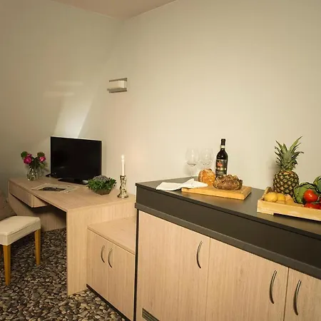 Remise Rembrandt Re-15 *