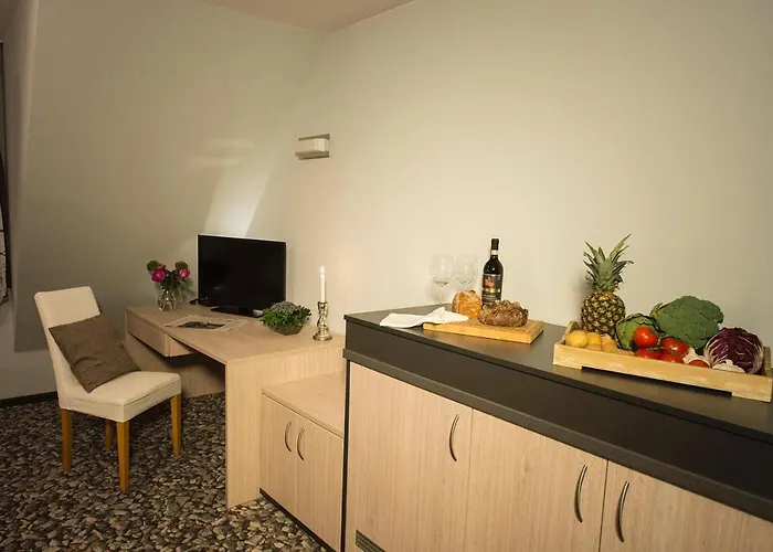 Remise Rembrandt Re-15 *